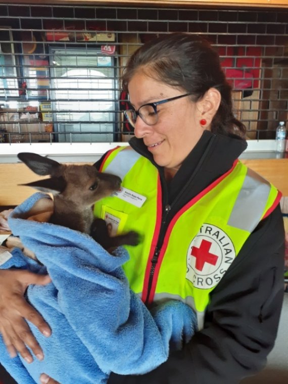 Australische Rode Kruis Blijft Helpen Bij Bosbranden Rode Kruis